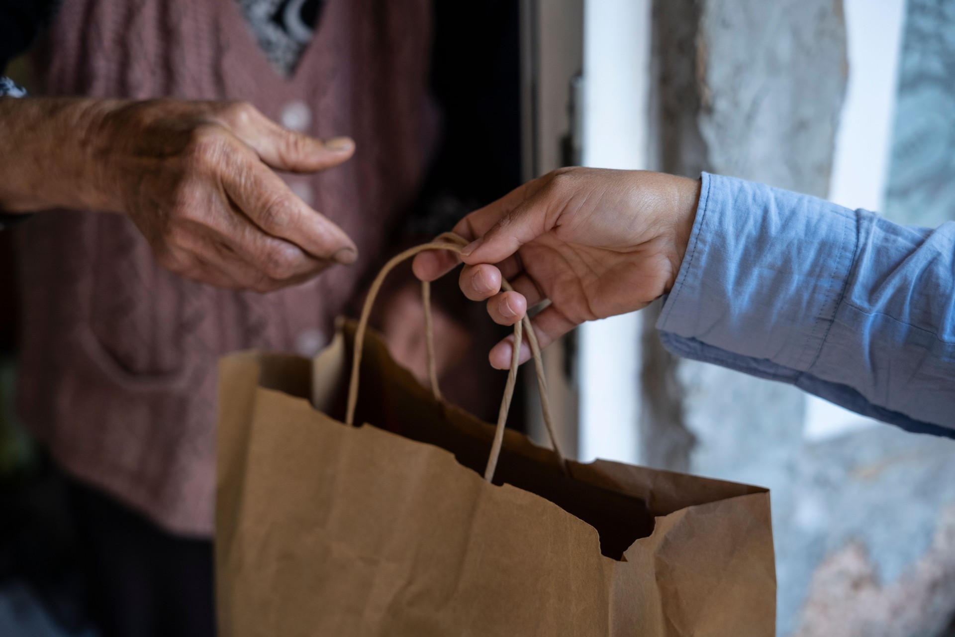 Young volunteer delivering food to a senior woman at home.